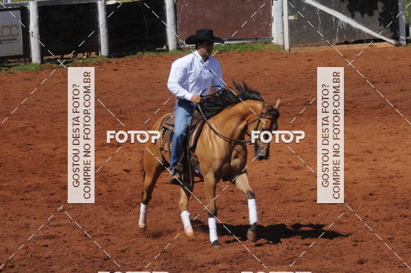 Buy your photos of the eventCAMPEONATO ACC TEAM PENNING SEGUNDA ETAPA on Fotop