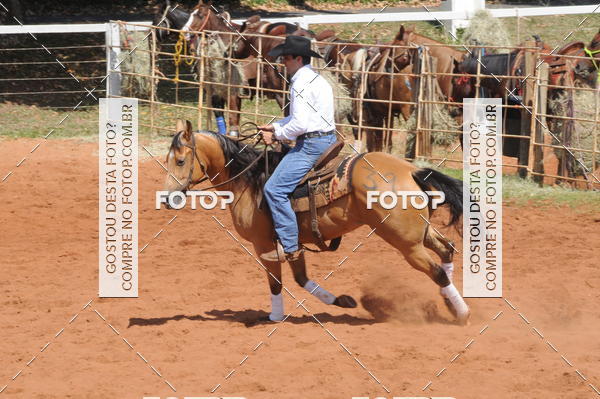Buy your photos of the eventCAMPEONATO ACC TEAM PENNING SEGUNDA ETAPA on Fotop