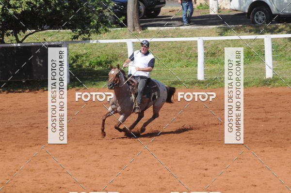 Buy your photos of the eventCAMPEONATO ACC TEAM PENNING SEGUNDA ETAPA on Fotop