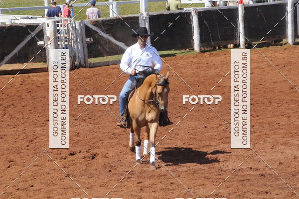 Buy your photos of the eventCAMPEONATO ACC TEAM PENNING SEGUNDA ETAPA on Fotop