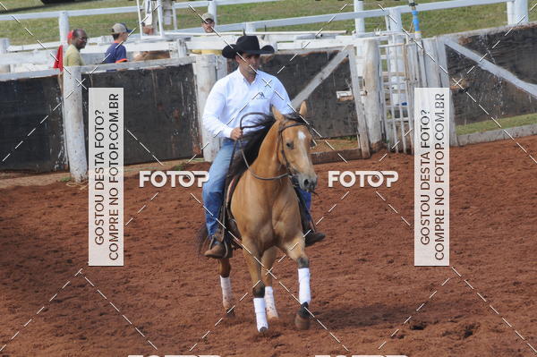 Buy your photos of the eventCAMPEONATO ACC TEAM PENNING SEGUNDA ETAPA on Fotop