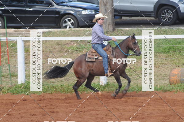 Buy your photos of the eventCAMPEONATO ACC TEAM PENNING SEGUNDA ETAPA on Fotop