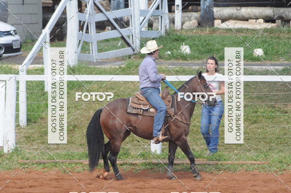 Buy your photos of the eventCAMPEONATO ACC TEAM PENNING SEGUNDA ETAPA on Fotop