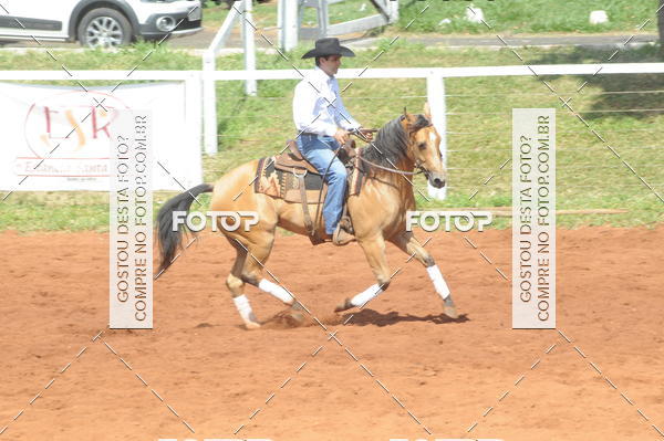 Buy your photos of the eventCAMPEONATO ACC TEAM PENNING SEGUNDA ETAPA on Fotop