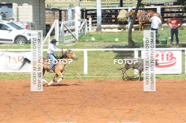 Buy your photos of the eventCAMPEONATO ACC TEAM PENNING SEGUNDA ETAPA on Fotop