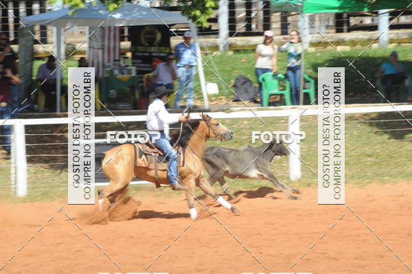 Buy your photos of the eventCAMPEONATO ACC TEAM PENNING SEGUNDA ETAPA on Fotop