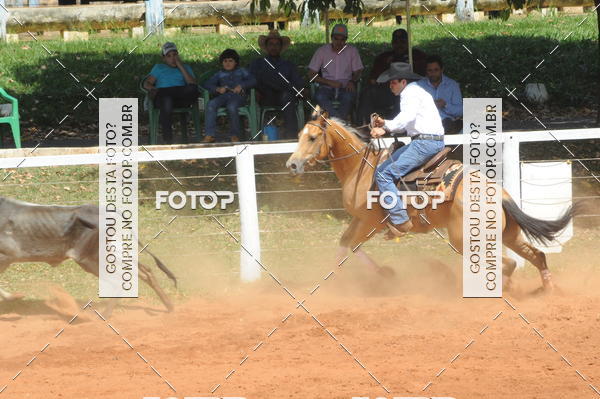 Buy your photos of the eventCAMPEONATO ACC TEAM PENNING SEGUNDA ETAPA on Fotop