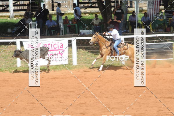 Buy your photos of the eventCAMPEONATO ACC TEAM PENNING SEGUNDA ETAPA on Fotop