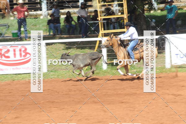 Buy your photos of the eventCAMPEONATO ACC TEAM PENNING SEGUNDA ETAPA on Fotop