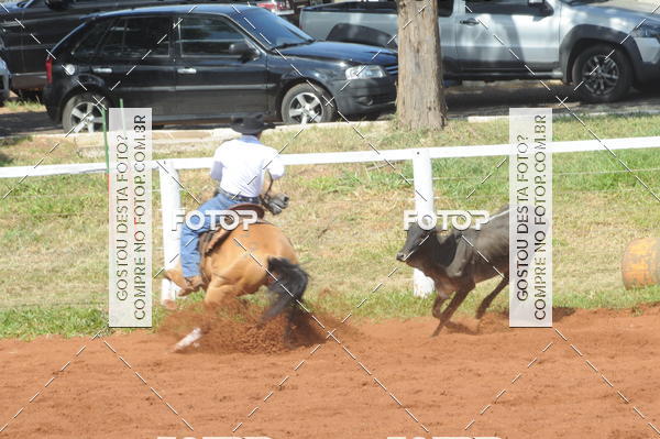 Buy your photos of the eventCAMPEONATO ACC TEAM PENNING SEGUNDA ETAPA on Fotop