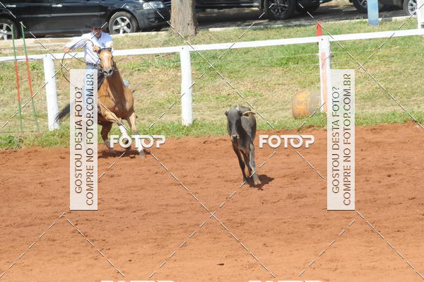 Buy your photos of the eventCAMPEONATO ACC TEAM PENNING SEGUNDA ETAPA on Fotop