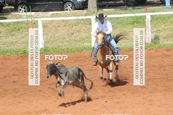 Buy your photos of the eventCAMPEONATO ACC TEAM PENNING SEGUNDA ETAPA on Fotop