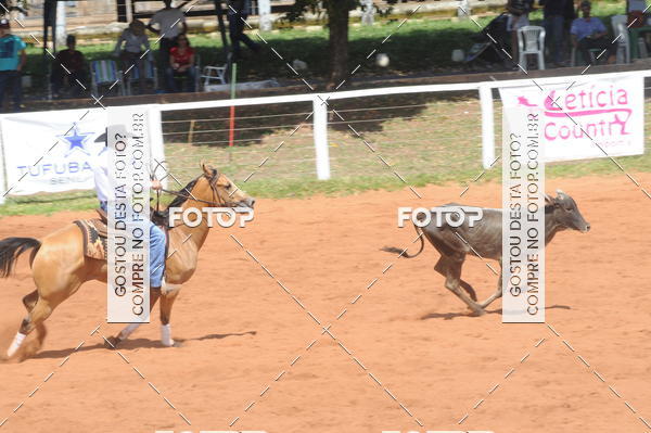 Buy your photos of the eventCAMPEONATO ACC TEAM PENNING SEGUNDA ETAPA on Fotop