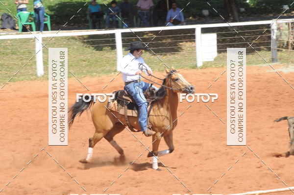 Buy your photos of the eventCAMPEONATO ACC TEAM PENNING SEGUNDA ETAPA on Fotop