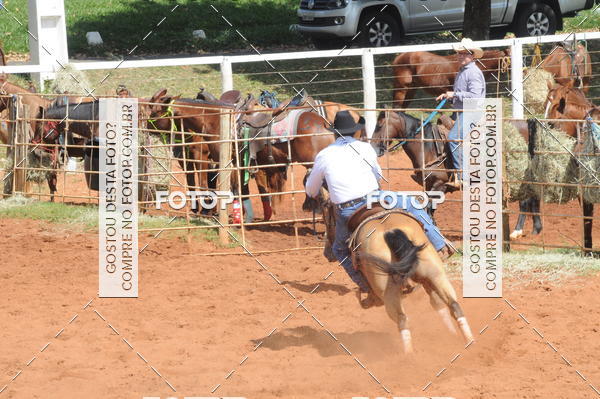 Buy your photos of the eventCAMPEONATO ACC TEAM PENNING SEGUNDA ETAPA on Fotop