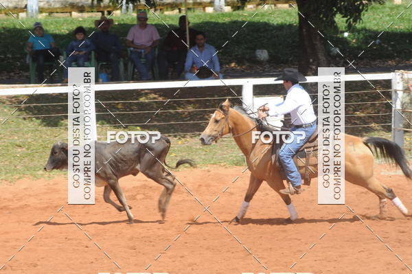 Buy your photos of the eventCAMPEONATO ACC TEAM PENNING SEGUNDA ETAPA on Fotop