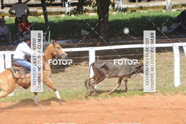 Buy your photos of the eventCAMPEONATO ACC TEAM PENNING SEGUNDA ETAPA on Fotop
