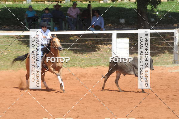 Buy your photos of the eventCAMPEONATO ACC TEAM PENNING SEGUNDA ETAPA on Fotop