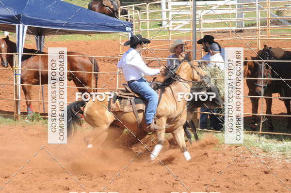 Buy your photos of the eventCAMPEONATO ACC TEAM PENNING SEGUNDA ETAPA on Fotop