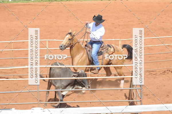 Buy your photos of the eventCAMPEONATO ACC TEAM PENNING SEGUNDA ETAPA on Fotop