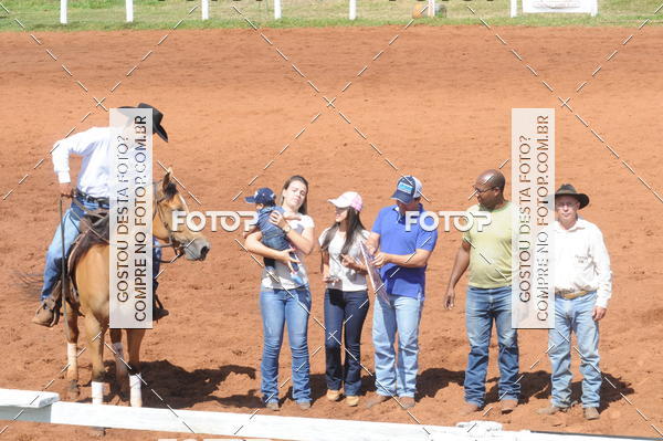 Buy your photos of the eventCAMPEONATO ACC TEAM PENNING SEGUNDA ETAPA on Fotop