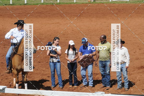 Buy your photos of the eventCAMPEONATO ACC TEAM PENNING SEGUNDA ETAPA on Fotop