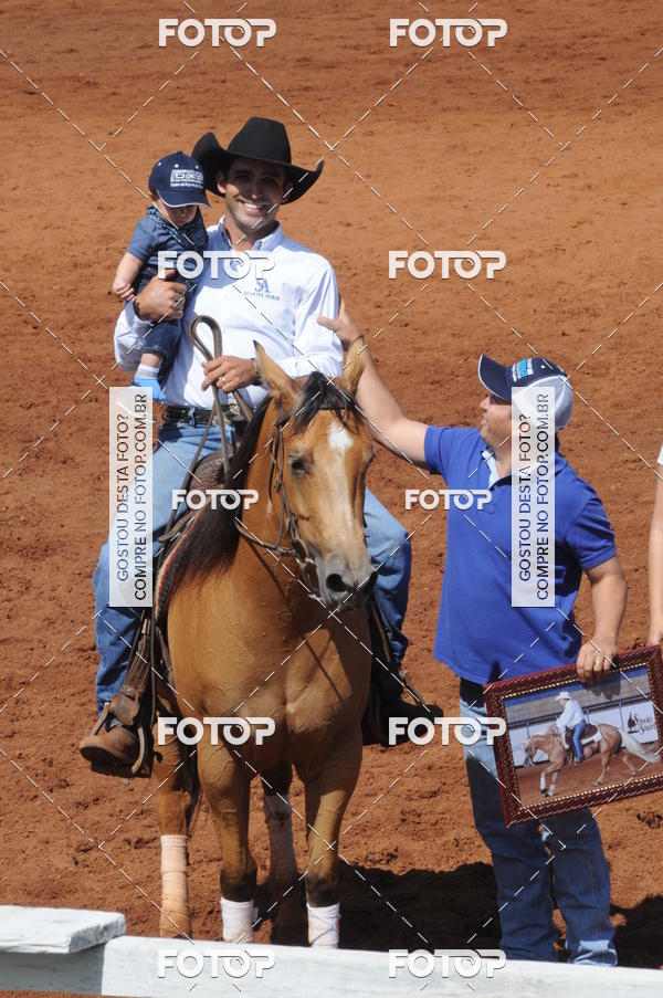 Buy your photos of the eventCAMPEONATO ACC TEAM PENNING SEGUNDA ETAPA on Fotop