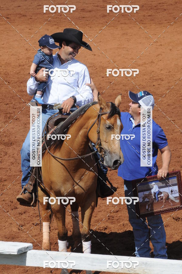 Buy your photos of the eventCAMPEONATO ACC TEAM PENNING SEGUNDA ETAPA on Fotop