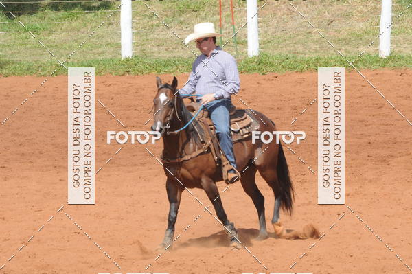 Buy your photos of the eventCAMPEONATO ACC TEAM PENNING SEGUNDA ETAPA on Fotop