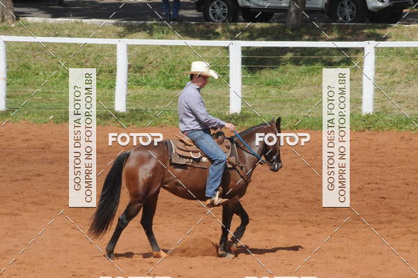 Buy your photos of the eventCAMPEONATO ACC TEAM PENNING SEGUNDA ETAPA on Fotop