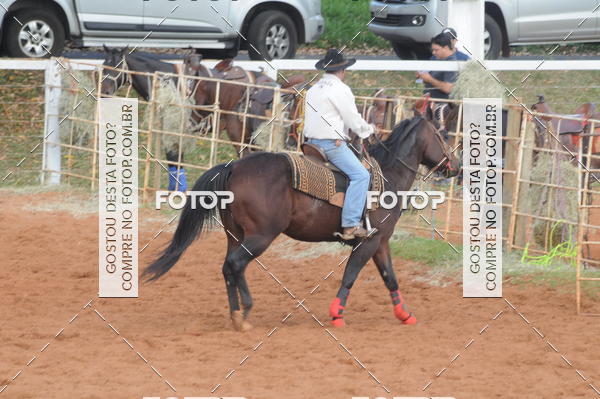 Buy your photos of the eventCAMPEONATO ACC TEAM PENNING SEGUNDA ETAPA on Fotop