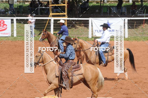 Buy your photos of the eventCAMPEONATO ACC TEAM PENNING SEGUNDA ETAPA on Fotop