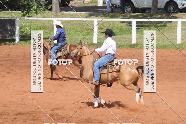 Buy your photos of the eventCAMPEONATO ACC TEAM PENNING SEGUNDA ETAPA on Fotop