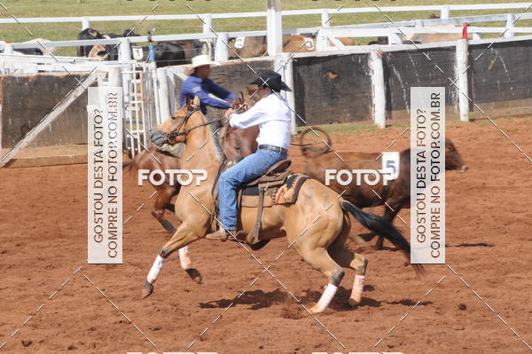 Buy your photos of the eventCAMPEONATO ACC TEAM PENNING SEGUNDA ETAPA on Fotop