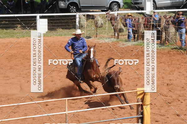 Buy your photos of the eventCAMPEONATO ACC TEAM PENNING SEGUNDA ETAPA on Fotop