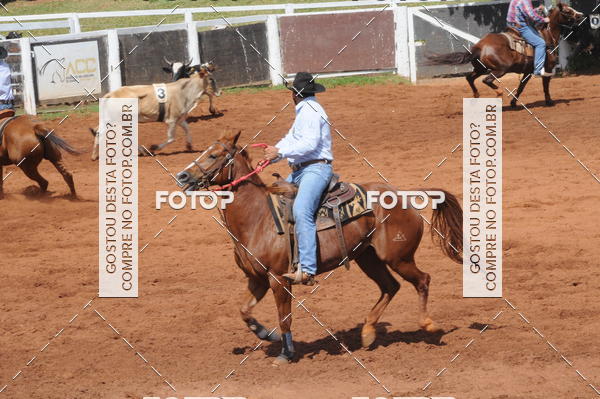Buy your photos of the eventCAMPEONATO ACC TEAM PENNING SEGUNDA ETAPA on Fotop