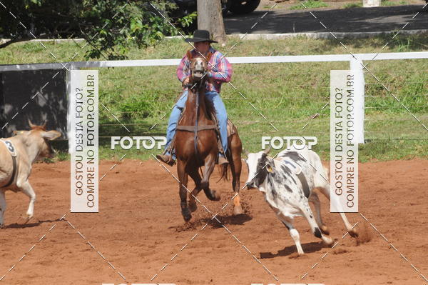 Buy your photos of the eventCAMPEONATO ACC TEAM PENNING SEGUNDA ETAPA on Fotop