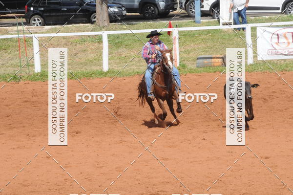 Buy your photos of the eventCAMPEONATO ACC TEAM PENNING SEGUNDA ETAPA on Fotop