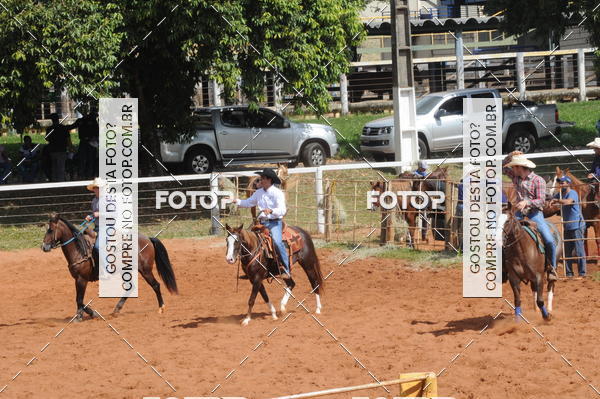 Buy your photos of the eventCAMPEONATO ACC TEAM PENNING SEGUNDA ETAPA on Fotop