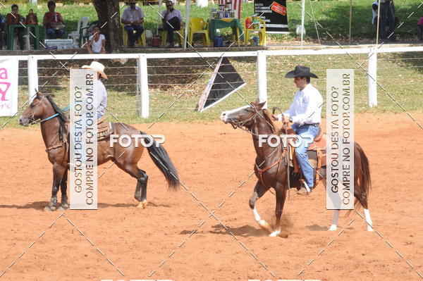 Buy your photos of the eventCAMPEONATO ACC TEAM PENNING SEGUNDA ETAPA on Fotop