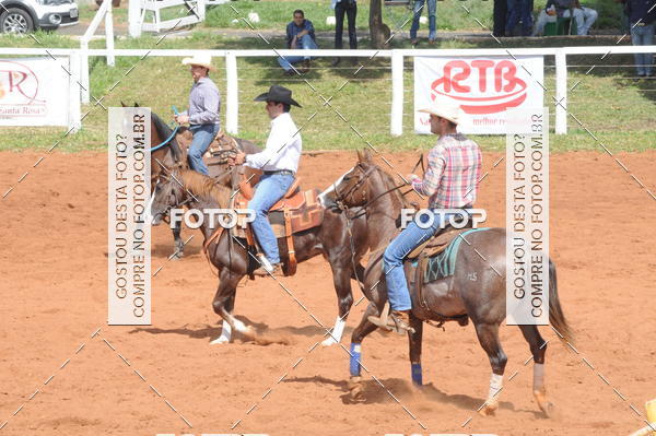 Buy your photos of the eventCAMPEONATO ACC TEAM PENNING SEGUNDA ETAPA on Fotop