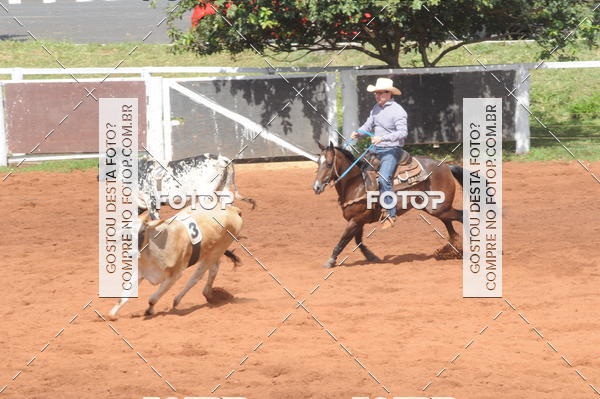 Buy your photos of the eventCAMPEONATO ACC TEAM PENNING SEGUNDA ETAPA on Fotop