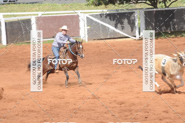 Buy your photos of the eventCAMPEONATO ACC TEAM PENNING SEGUNDA ETAPA on Fotop