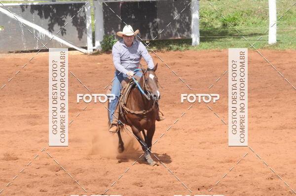 Buy your photos of the eventCAMPEONATO ACC TEAM PENNING SEGUNDA ETAPA on Fotop