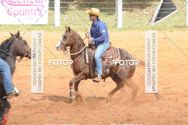 Buy your photos of the eventCAMPEONATO ACC TEAM PENNING SEGUNDA ETAPA on Fotop