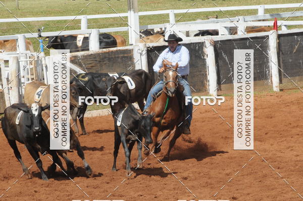 Buy your photos of the eventCAMPEONATO ACC TEAM PENNING SEGUNDA ETAPA on Fotop