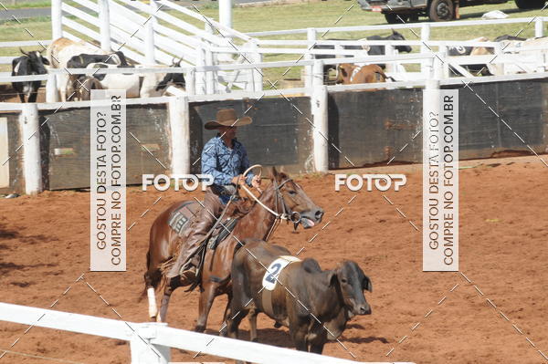 Buy your photos of the eventCAMPEONATO ACC TEAM PENNING SEGUNDA ETAPA on Fotop