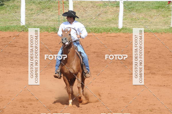 Buy your photos of the eventCAMPEONATO ACC TEAM PENNING SEGUNDA ETAPA on Fotop