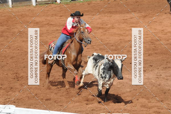 Buy your photos of the eventCAMPEONATO ACC TEAM PENNING SEGUNDA ETAPA on Fotop