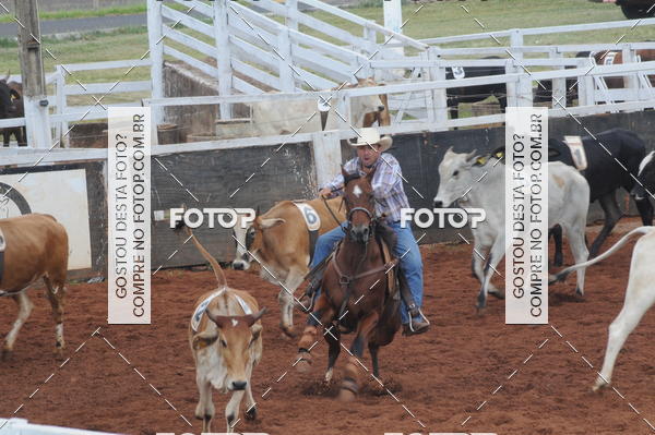 Buy your photos of the eventCAMPEONATO ACC TEAM PENNING SEGUNDA ETAPA on Fotop